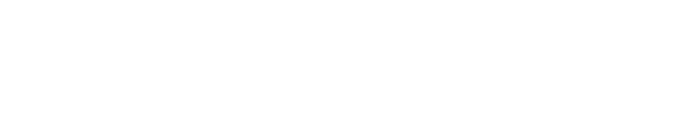 HINO サステナビリティレポート2021