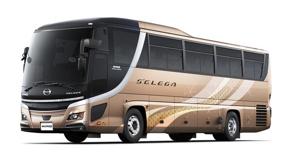 HINO SELEGA_1.jpg